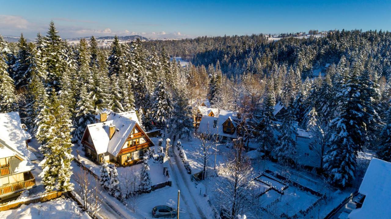 Willa Na Borach Zakopane Kültér fotó